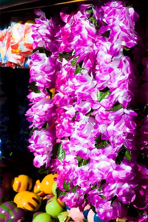 Close-up of garlands, Key West, Florida, USA Stock Photo - Premium Royalty-Free, Code: 625-01749760