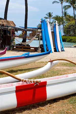 pic palm tree beach big island - Outriggers and surfboards on the beach, Kona, Big Island, Hawaii Islands, USA Stock Photo - Premium Royalty-Free, Code: 625-01750894