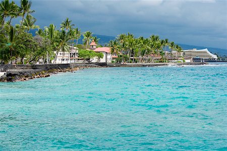 Bâtiments et les arbres dans les îles de bord de mer, Kona, Big Island, Hawaii, USA Photographie de stock - Premium Libres de Droits, Code: 625-01750915