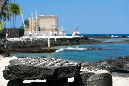 pic palm tree beach big island - Close-up of a Hawaiian Checkers, Puuhonua O Honaunau National Historical Park, Kona Coast, Big Island, Hawaii Islands, USA Stock Photo - Premium Royalty-Free, Code: 625-01750929