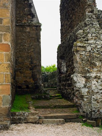 simsearch:625-01751647,k - Old ruins of a church, La Merced Church, Old Panama, Panama City, Panama Stock Photo - Premium Royalty-Free, Code: 625-01751705