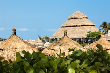 simsearch:625-01751647,k - High section view of thatched roofs, Cancun, Mexico Stock Photo - Premium Royalty-Free, Code: 625-01751903
