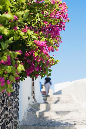 flowers greece - Low angle view of a staircase, Greece Stock Photo - Premium Royalty-Free, Code: 625-01752488