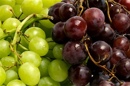 red grape - Close-up of grapes Stock Photo - Premium Royalty-Free, Code: 625-02266180