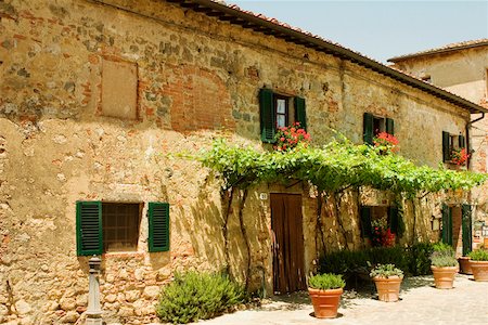 potted plant - Potted plants in front of a building, Piazza Roma, Monteriggioni, Siena Province, Tuscany, Italy Stock Photo - Premium Royalty-Free, Code: 625-02927911