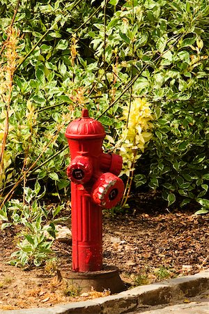 Close-up of a fire hydrant, Le Mans, France Stock Photo - Premium Royalty-Free, Code: 625-02928390