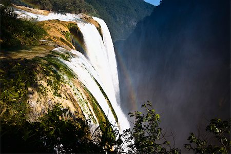 plants in mexico - Waterfall in a forest, Tamul Waterfall, Aquismon, San Luis Potosi, Mexico Stock Photo - Premium Royalty-Free, Code: 625-02933311