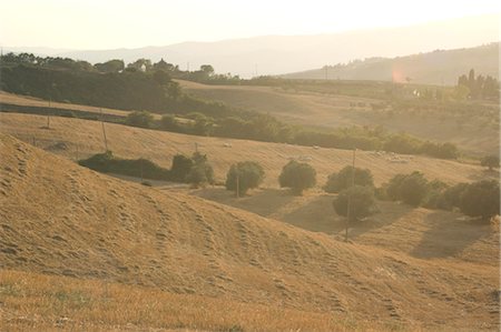 Rural landscape Foto de stock - Sin royalties Premium, Código: 628-05817295