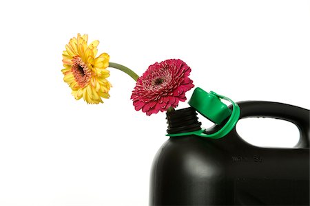 simsearch:628-02953757,k - Two flowers growing out of fuel can, Germany Stock Photo - Premium Royalty-Free, Code: 628-02953713