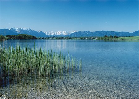 simsearch:628-02953843,k - Lake at the foothill of the Alps, Allgaeu, Bavaria, Germany Foto de stock - Sin royalties Premium, Código: 628-02953949