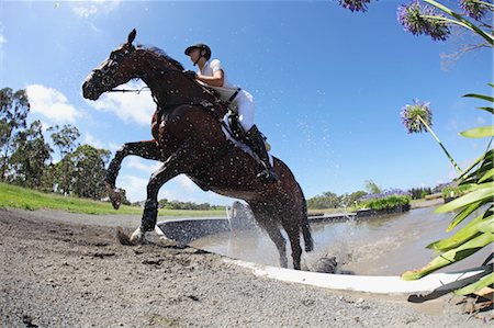 powerful (animals) - Horse Rider Crossing Water in Equestrian Event Stock Photo - Premium Royalty-Free, Code: 622-05786734