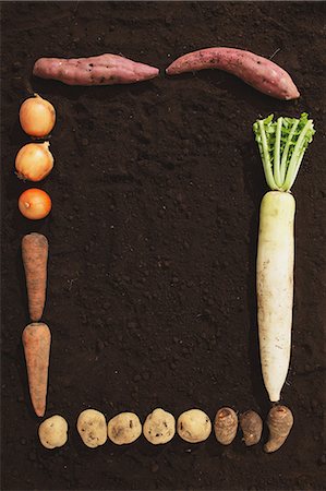 root vegetable - Design Made By Vegetables Stock Photo - Premium Royalty-Free, Code: 622-06163852