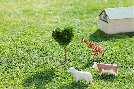 Animals Model On Grassy Field Stock Photo - Premium Royalty-Free, Code: 622-06163863