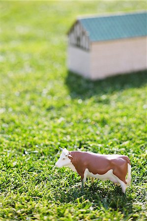 Cow On Grassy Field Foto de stock - Sin royalties Premium, Código: 622-06163872