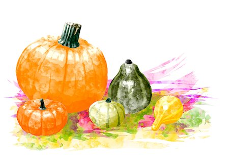 drawing vegetables - Pumpkins Foto de stock - Sin royalties Premium, Código: 622-06191012