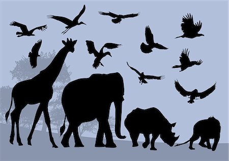silhouettes birds - Silhouette Of Animals Stock Photo - Premium Royalty-Free, Code: 622-06191029