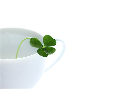 Four Leaf Clover In Coffee Cup Foto de stock - Sin royalties Premium, Código: 622-06191213