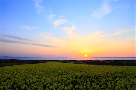 Majestic View Of Sunset Over Lush Forest Stock Photo - Premium Royalty-Free, Code: 622-06191386