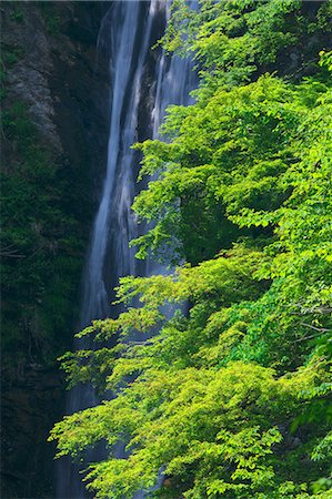 spring (body of water) - Shusui waterfall in Kanagawa Prefecture Stock Photo - Premium Royalty-Free, Code: 622-06369794