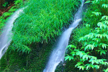 spring (body of water) - Shiramizu waterfall in Gunma Prefecture Stock Photo - Premium Royalty-Free, Code: 622-06369797