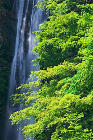 spring (body of water) - Shusui waterfall in Kanagawa Prefecture Stock Photo - Premium Royalty-Free, Code: 622-06369792