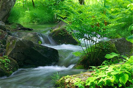 spring (body of water) - Mountain water stream in Fukushima Stock Photo - Premium Royalty-Free, Code: 622-06369825