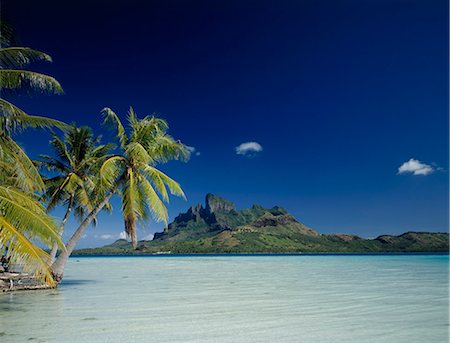 Bora Bora island with palm trees Stock Photo - Premium Royalty-Free, Code: 622-06370191