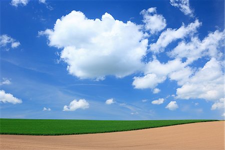 simsearch:622-06842402,k - Wheat field and clouds in Hokkaido Foto de stock - Sin royalties Premium, Código: 622-06370448