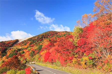 Red foliage in Fukushima Prefecture Stock Photo - Premium Royalty-Free, Code: 622-06370522