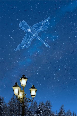 Cygnus constellation and outdoor lights Foto de stock - Sin royalties Premium, Código: 622-06398391