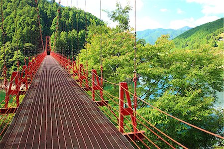 forest bridge - Zao suspended bridge in Aridagawa, Wakayama Prefecture Stock Photo - Premium Royalty-Free, Code: 622-06439411