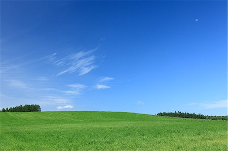 Grassland and blue sky with clouds, Hokkaido Stock Photo - Premium Royalty-Free, Code: 622-06439845