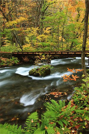 forest bridge - Oirase mountain stream Stock Photo - Premium Royalty-Free, Code: 622-06486951