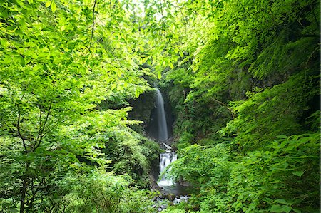 spring (body of water) - Waterfall in Itajiki valley, Yamanashi Prefecture Stock Photo - Premium Royalty-Free, Code: 622-06487525