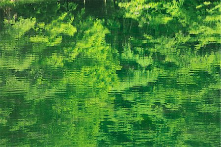 environment - Trees reflection in the water Stock Photo - Premium Royalty-Free, Code: 622-06549299