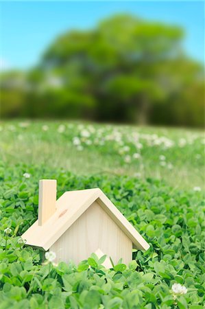 Miniature house on grassland Stock Photo - Premium Royalty-Free, Code: 622-06549369