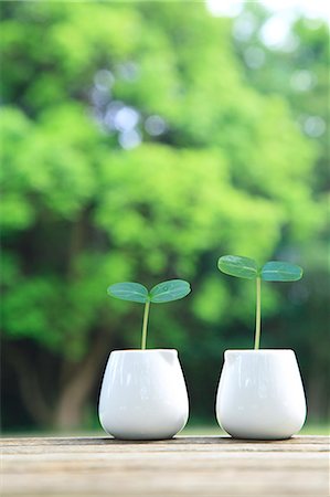 playback - Green leaves sprouting from milk cups Stock Photo - Premium Royalty-Free, Code: 622-06549382