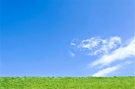 Grassland and blue sky with clouds Stock Photo - Premium Royalty-Free, Code: 622-06549415