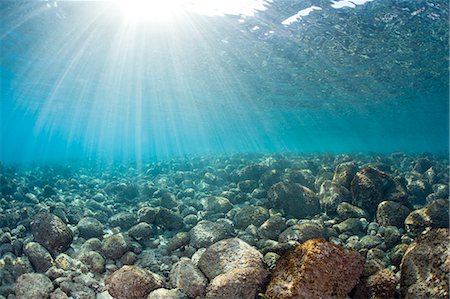 shizuoka - Light leaking underwater Stock Photo - Premium Royalty-Free, Code: 622-06809119