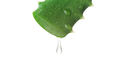 falling green leaves white background - Aloe juice Stock Photo - Premium Royalty-Free, Code: 622-06900274