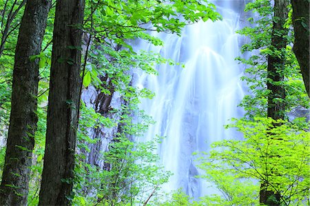 simsearch:859-07442165,k - Ichino waterfall, Akita Prefecture Stock Photo - Premium Royalty-Free, Code: 622-06900577