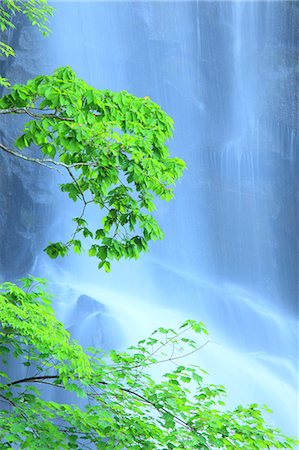 simsearch:859-07442165,k - Ichino waterfall, Akita Prefecture Stock Photo - Premium Royalty-Free, Code: 622-06900580