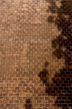 Brick wall Stock Photo - Premium Royalty-Free, Code: 622-06900719