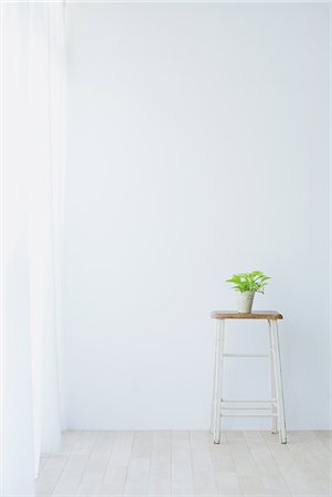 piso (superficie) - Plant and small table in white room Foto de stock - Sin royalties Premium, Código: 622-06964298