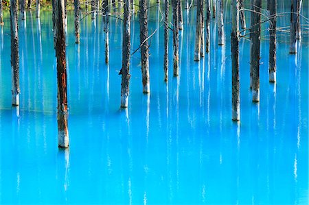 fall trees lake - Blue pond, Hokkaido Stock Photo - Premium Royalty-Free, Code: 622-07108758