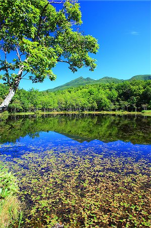 fall trees lake - Shiretoko five lakes, Hokkaido Stock Photo - Premium Royalty-Free, Code: 622-07117628