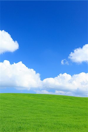 private garden - Wheat field and clouds, Hokkaido Stock Photo - Premium Royalty-Free, Code: 622-07117927