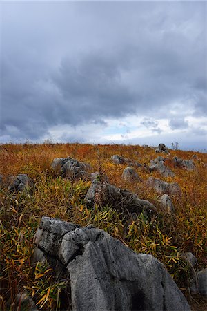 plateau - Yamaguchi Prefecture, Japan Stock Photo - Premium Royalty-Free, Code: 622-07519372