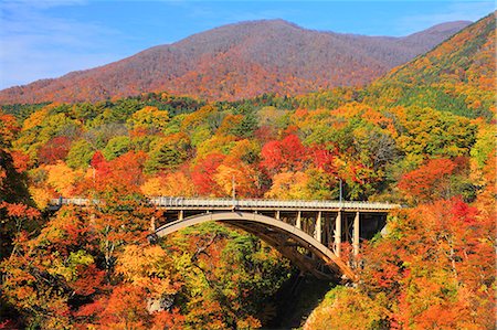 forest bridge - Autumn leaves Stock Photo - Premium Royalty-Free, Code: 622-07519701