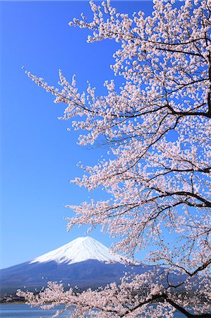 simsearch:622-07519745,k - Mount Fuji Foto de stock - Sin royalties Premium, Código: 622-07519735